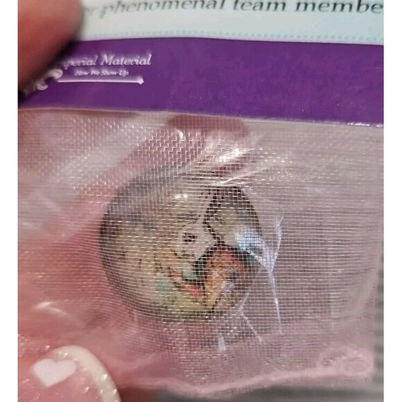 Thirty One 31 Consultant Button Pin Recruiting Enamel Bunny Peter Rabbit New - Picture 2 of 3